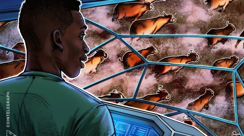 'Very high chance' this is the start of the crypto bull market: Trader