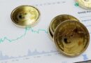 Dogecoin Sees Aggressive Accumulation by Short-Term Holders, Is The Next Major Rally In The Works?