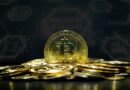 Famous Economist Warns That The Bitcoin Price Recovery Is A Dead Cat Bounce, What This Means