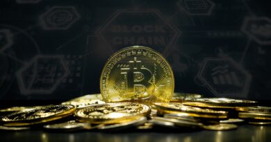 Famous Economist Warns That The Bitcoin Price Recovery Is A Dead Cat Bounce, What This Means