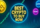 Gemini Analysis and Recommendation of Best Crypto to Buy Now
