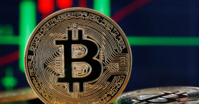 How Has The BlackRock Bitcoin ETF Fared Compared To Its Older Funds?