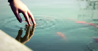 Is Ripple Tapping Into A $12 Trillion Industry? Pundit Breaks Down US Repo Market