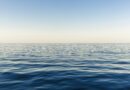 OpenSea Plans To Launch SEA Token By Q1 2026