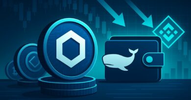 Whales Double Down on Chainlink: $188M Moved Off Binance Post-Crash
