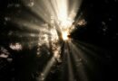 ‘Bitcoin Jesus’ Roger Ver Settles Tax Fraud Case