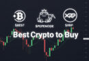 Best Crypto to Buy and HODL Safely as Bitcoin Drops to 6-Month Low
