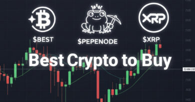 Best Crypto to Buy and HODL Safely as Bitcoin Drops to 6-Month Low