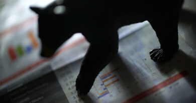 Bitcoin’s Next Bullish Wave Could Take 200–300 Days To Kick Off — Here’s Why