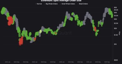 Ethereum Big Wallets Are Back: Whales Are Quietly Accumulating ETH – A Rally On The Way?