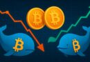 Old Bitcoin Whales Exit, New Whales Enter — The Market’s Natural Rotation in Action