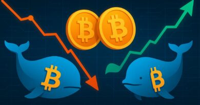 Old Bitcoin Whales Exit, New Whales Enter — The Market’s Natural Rotation in Action
