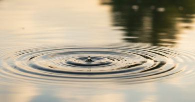 Ripple Turns To Big Business, Buys Palisade To Spark Global Crypto Use