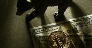 Stablecoin Liquidity Displays Clear Uptrend — When Will Bitcoin Price Follow?