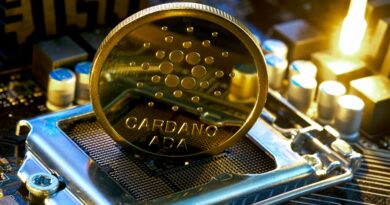 What The Latest Cardano Treasury Move Means For Investors