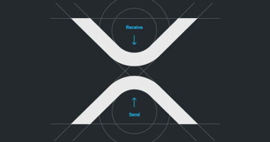 XRP Custody Companies A Risk? Pundit Shares Why Companies Shouldn’t Hold The Coins