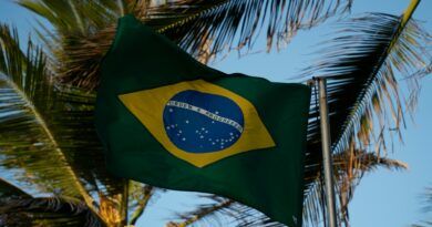 Bitcoin Momentum Builds In Brazil As Average Investment Breaks $1,000