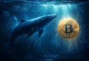 Bitcoin New Whale Loss-Taking Fades: End Of Capitulation?