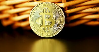 “It’s Like Faulting Chevron For Oil”