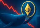 Major Ethereum Whale Returns: Buys $119M In ETH Amid Market Drop