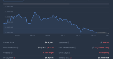 Shiba Inu End Of Year Predictions Remain Bearish, High Volatility Expected