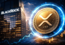 BlackRock XRP ETF Next? Canary CEO Eyes Late 2026