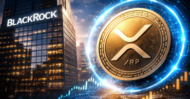 BlackRock XRP ETF Next? Canary CEO Eyes Late 2026