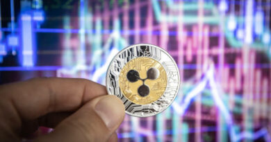 Expert Reminds XRP Investors Of The Greatest Blessing Right Now