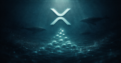 ‘Millionaire’ XRP Wallets Rising For First Time Since Sept