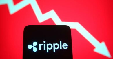 Ripple Dev Says Get Ready For 2026, All The New Things Coming For XRP