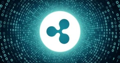 XRP’s Playbook Goes Beyond Payments: Pundit Reveals More Use Cases