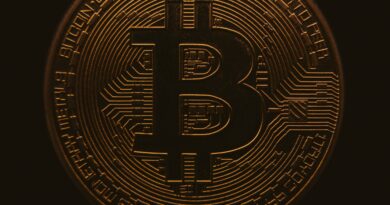 Bitcoin Tightens Grip On Crypto Market Amid 50% Altcoin Slump