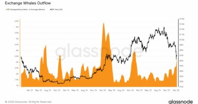 Bitcoin Whale Exchange Outflows Spike: Sign Of Dip Buying?