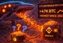 Bitcoin Whale Inflows To Binance Hit Highest Level Since 2022: Distribution Or Repositioning?