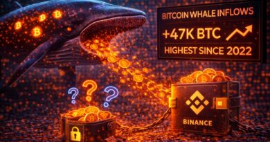 Bitcoin Whale Inflows To Binance Hit Highest Level Since 2022: Distribution Or Repositioning?