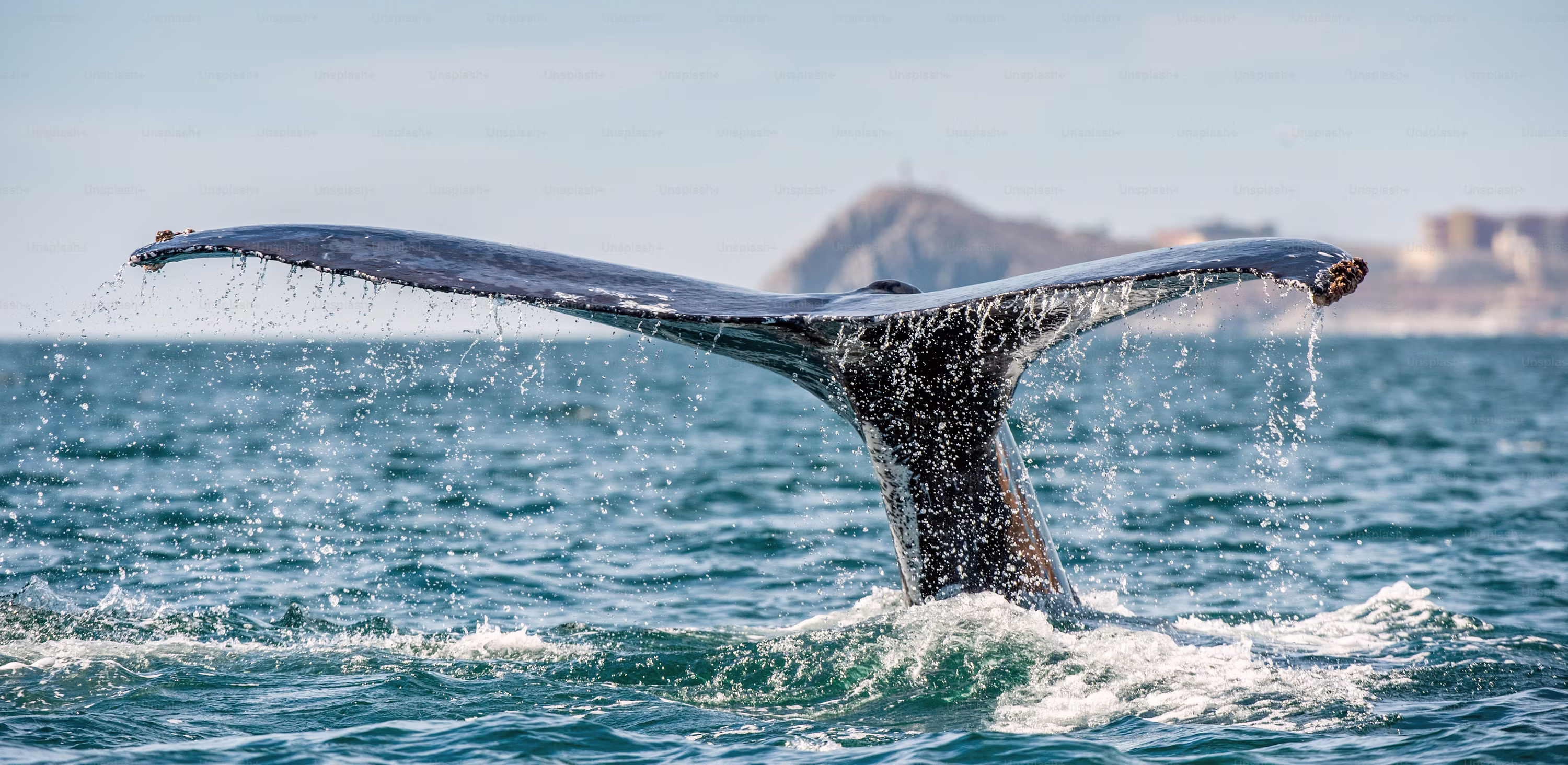 Bitcoin Whales Return To Binance As Market Holds Its Breath