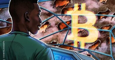 Bitcoin’s next bull market may not come from more 'accommodative policies'