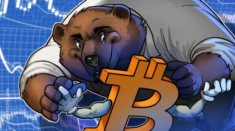 Chainlink co-founder's 2 reasons this bear market feels different