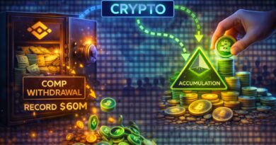 Crypto Accumulation Narrative Builds After Record Binance COMP Withdrawal