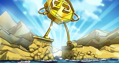 Crypto treasury companies likely to consolidate in 2026: Crypto exec