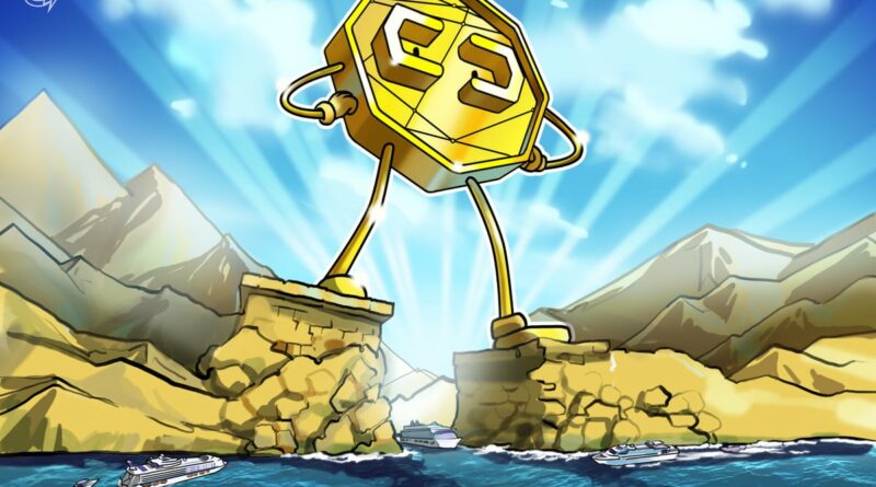 Crypto treasury companies likely to consolidate in 2026: Crypto exec