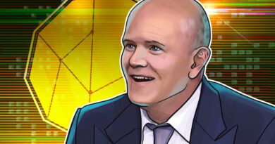 Crypto’s ‘age of speculation’ may be ending: Galaxy’s Novogratz