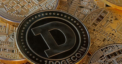 Dogecoin Price Reach Key Decision Level To Trigger Another 100% Wave