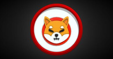Shiba Inu Lead Dev Returns As Price Crashes To 3-Year Low, What’s Going On?