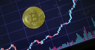 Bitcoin Holders Pull Coins Off Exchanges, Data Points To Steady Buying