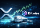 Bitwise Says It’s Now America’s Largest