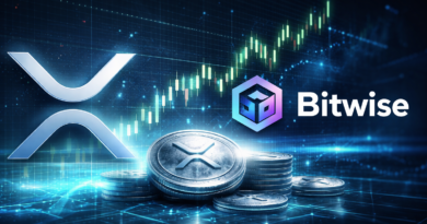 Bitwise Says It’s Now America’s Largest