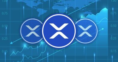 Pundit Reveals The One Thing That XRP Holders Are Missing