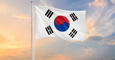 South Korean Authorities Exclude Stablecoins From Corporate Crypto Investments – Details