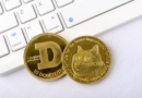 What Does The SpaceX IPO Have To Do With The Dogecoin Price?